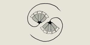 Beitragsbild des Blogbeitrags Godspeed You! Black Emperor – G_ds Pee AT STATES END! 