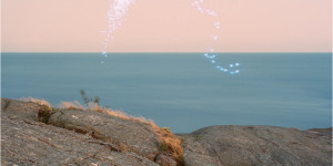 Beitragsbild des Blogbeitrags Cassandra Jenkins – An Overview on Phenomenal Nature