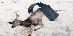 Beitragsbild des Blogbeitrags White Ward – Debemur Morti