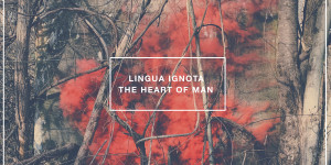 Beitragsbild des Blogbeitrags LINGUA IGNOTA – THE HEART OF MAN