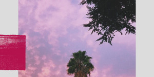 Beitragsbild des Blogbeitrags Jenn Champion & Oyster Kids – Love Nobody