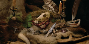 Beitragsbild des Blogbeitrags Wolves in the Throne Room – Primordial Arcana 