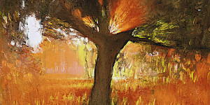 Beitragsbild des Blogbeitrags The Antlers – Losing Light