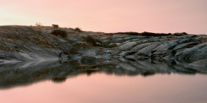 Beitragsbild des Blogbeitrags Cassandra Jenkins – (An Overview on) An Overview on Phenomenal Nature