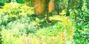 Beitragsbild des Blogbeitrags Mydreamfever – Rough and Beautiful Place
