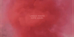 Beitragsbild des Blogbeitrags LINGUA IGNOTA – KATIE CRUEL 