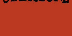 Beitragsbild des Blogbeitrags Staticlone – Flexi