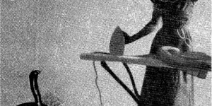 Beitragsbild des Blogbeitrags Desaparecidos – Live at Shea Stadium