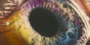 Beitragsbild des Blogbeitrags Arcade Fire – We 