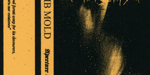 Beitragsbild des Blogbeitrags Tomb Mold – Aperture Of Body