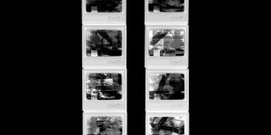 Beitragsbild des Blogbeitrags Rise Against – Nowhere Generation II 