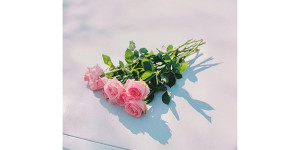 Beitragsbild des Blogbeitrags Foals – Life is Yours