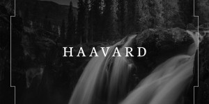 Beitragsbild des Blogbeitrags Haavard – Haavard