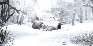 Beitragsbild des Blogbeitrags Weezer – SNZS: Winter 