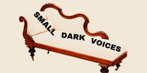 Beitragsbild des Blogbeitrags Jaye Jayle – Small Dark Voices 