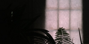 Beitragsbild des Blogbeitrags Mentalt Syk – Cold Hands Cant Quite Express the Same as Warm Hands