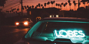 Beitragsbild des Blogbeitrags We are Scientists – Lobes