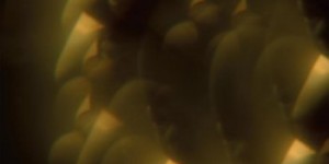 Beitragsbild des Blogbeitrags Jarvis Cocker – Music from ‚Likely Stories‘ 