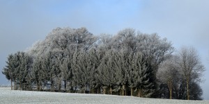 Beitragsbild des Blogbeitrags Baby it’s cold outside, Tage an denen ich das Haus kaum verlassen kann 