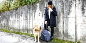 Beitragsbild des Blogbeitrags Warum ich keinen Hund mehr möchte und trotzdem gerne Gasthundemama bin