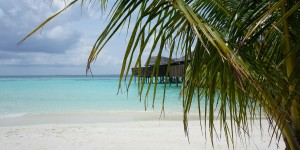 Beitragsbild des Blogbeitrags Lily Beach, Inselurlaub auf den Malediven 