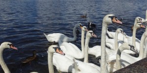 Beitragsbild des Blogbeitrags Weekly Photo Challenge – Waiting