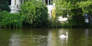 Beitragsbild des Blogbeitrags WPC – My Place in the World is Hamburg