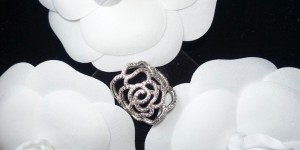 Beitragsbild des Blogbeitrags Pandora Shimmering Rose