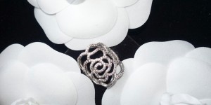 Beitragsbild des Blogbeitrags Pandora Shimmering Rose 