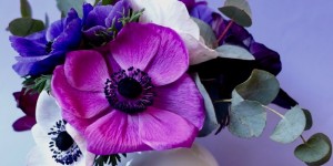 Beitragsbild des Blogbeitrags Ein Strauss Anemonen oder das kleine Glück in Zeiten des Coronavirus
