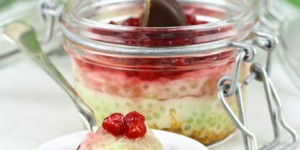 Beitragsbild des Blogbeitrags tapioka-dessert mit gin-preiselbeeren 