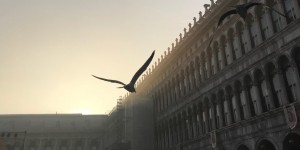 Beitragsbild des Blogbeitrags Venedig im Nebel