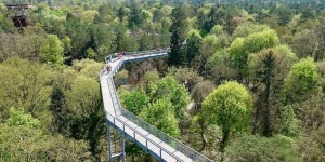Beitragsbild des Blogbeitrags Baum und Zeit: Baumkronenpfad über die Beelitzer Heilstätten