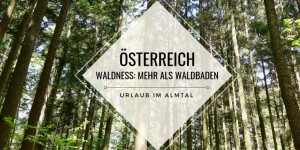 Beitragsbild des Blogbeitrags Waldness im Almtal: Mehr als Waldbaden