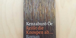 Beitragsbild des Blogbeitrags Kenzaburo Oe: japanisches Drama