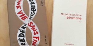 Beitragsbild des Blogbeitrags Frédéric Beigbeder, Michel Houellebecq – Die letzten Männerromane