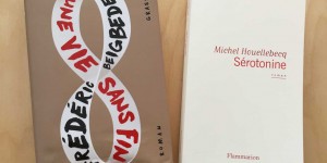 Beitragsbild des Blogbeitrags Frédéric Beigbeder, Michel Houellebecq – Die letzten Männerromane 