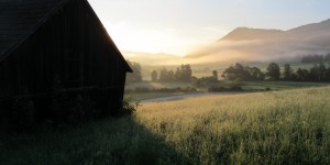Beitragsbild des Blogbeitrags Wie gut die Natur gegen Stress hilft