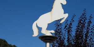 Beitragsbild des Blogbeitrags Almabtrieb der Lipizzaner