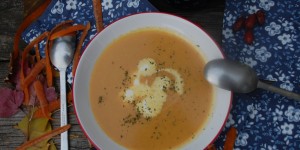 Beitragsbild des Blogbeitrags Sei kein Suppenkaspar: Karotten-Erdäpfelsuppe 