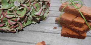 Beitragsbild des Blogbeitrags Heute einmal ganz klassisch: Brownies 