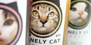 Beitragsbild des Blogbeitrags #fairliebtinlinz: Lonely Cat Kombucha {Gewinnspiel} 