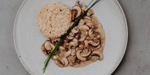 Beitragsbild des Blogbeitrags Bierschwammerlragout mit Naturreis {regional, vegan}