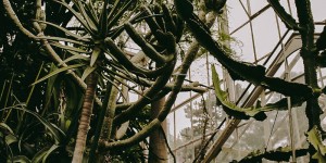 Beitragsbild des Blogbeitrags Die Sache mit dem Regenwald, Treibhausgase und andere Katastrophen