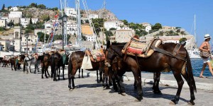 Beitragsbild des Blogbeitrags Rund Peloponnes: Kythera nach Athen 