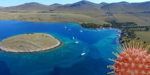 Beitragsbild des Blogbeitrags Aktuelle Informationen zur Corona-Situation im Mittelmeerraum für Nautiker
