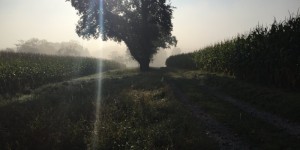 Beitragsbild des Blogbeitrags Jetzt: Die beste Jahreszeit
