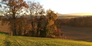 Beitragsbild des Blogbeitrags Pflanzt alte Sorten – JETZT!