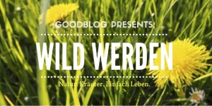 Beitragsbild des Blogbeitrags Veranstaltungen
