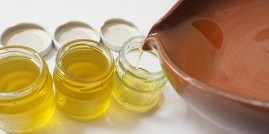Beitragsbild des Blogbeitrags Gänseblümchen-Schmier: lieblich und pflegend